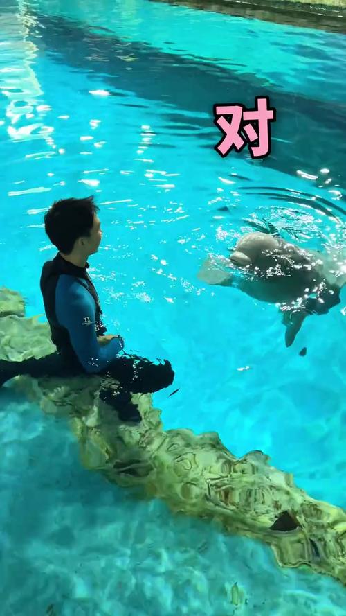 Lele到底是谁？3分钟带你了解这个神秘人物的真实身份！