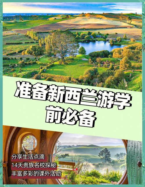 新特兰留学体验如何？学姐告诉你真实的学习和住宿情况