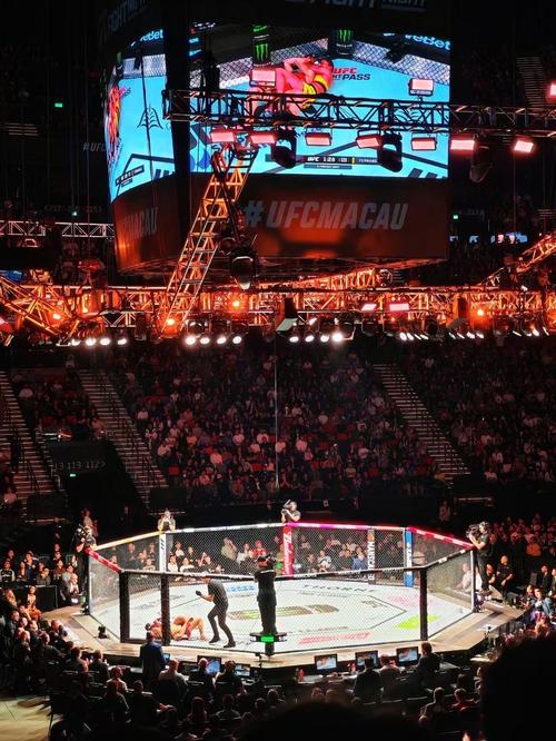 最新一期拳击之夜是什么时候？完整对战日程表公布！