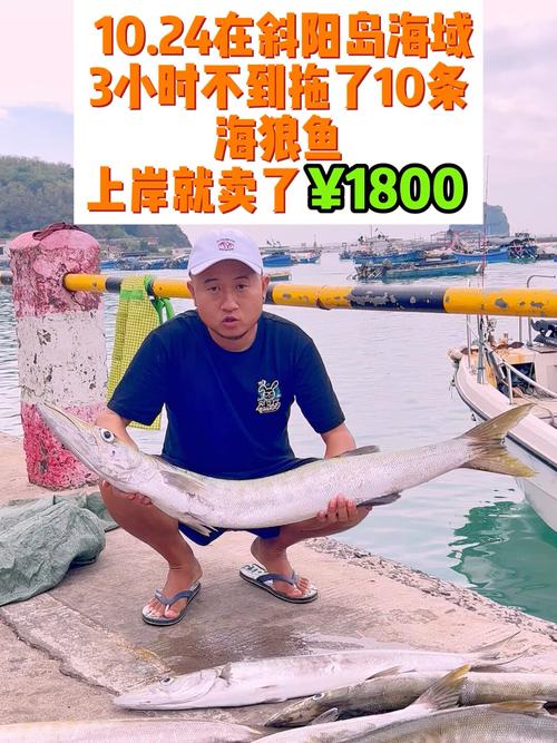 海狼鱼现在市场价格是多少？海鲜老板揭秘实时行情！