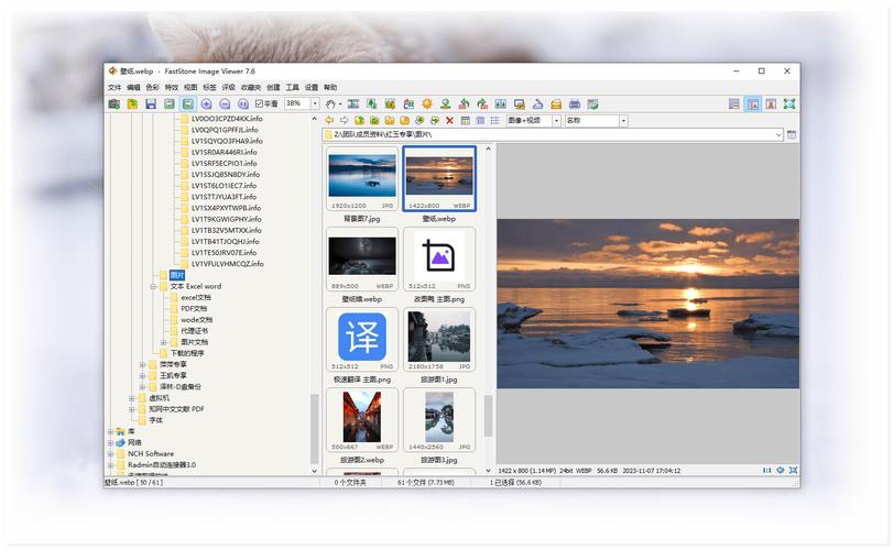 faststonecapture怎么截图？简单五步搞定屏幕捕捉！