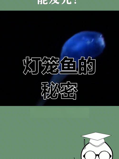 夜光鱼晚上为什么会发光？告诉你发光背后的真实秘密！