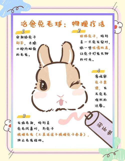 脱兔怎么用超简单？新手必看操作流程一步步来！