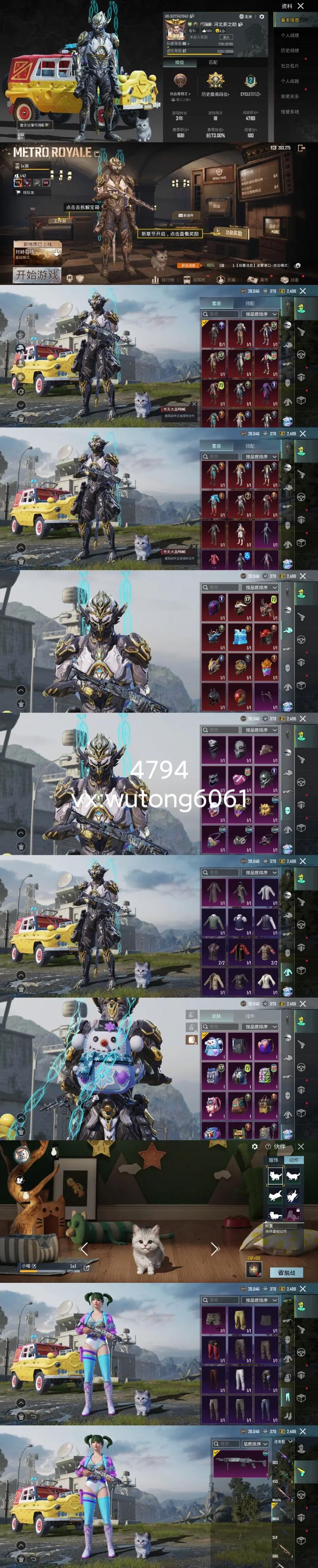 PUBG MOBILE(国际服)