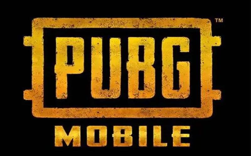 PUBG MOBILE(国际服)