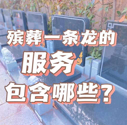 想要彻底告别龙需要准备什么？这份清单让你少走弯路！