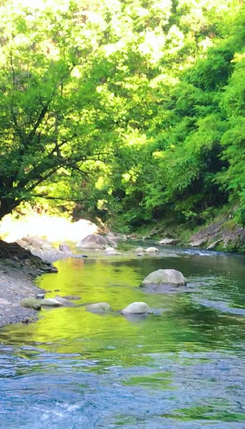 体验昔日的暖阳映小溪河畔的水中我和你需要什么？五个方法推荐！