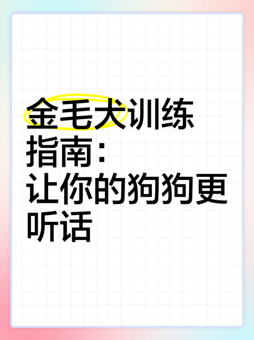 如何训练你的狗宝贝听话?3个简单有效的方法立刻见效!