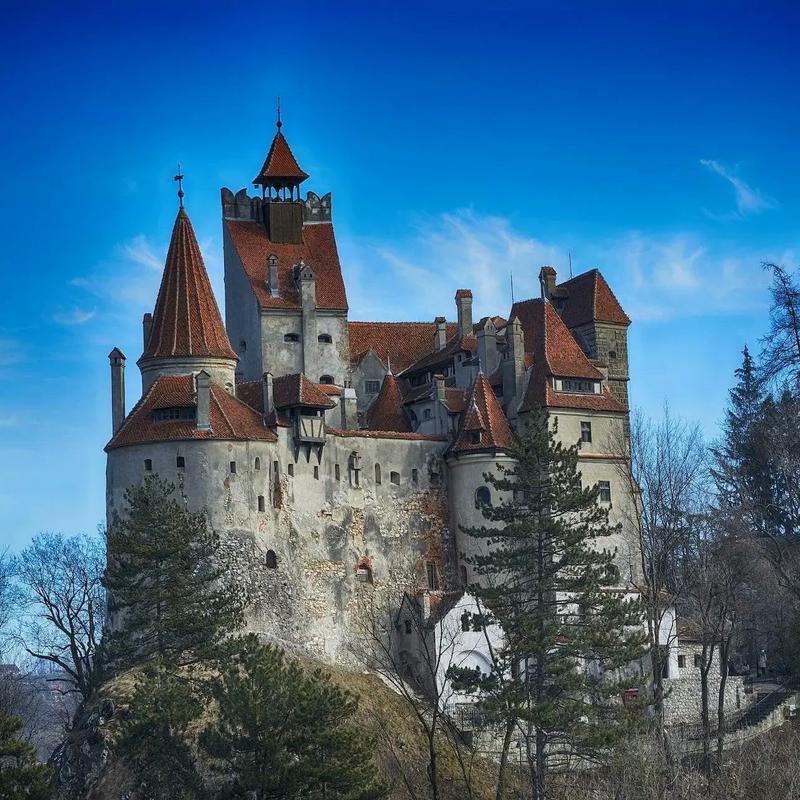 瓦尼亚的城堡官方网站有哪些内容?带你一探究竟!