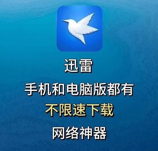 想看荀磊看看去哪里看？这几个独家渠道入口分享给你！