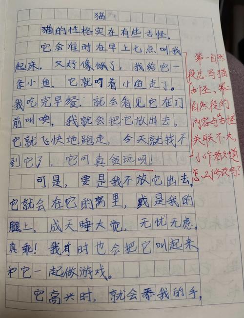 挑战写一篇喵呜体作文！原来这么简单又有趣味！