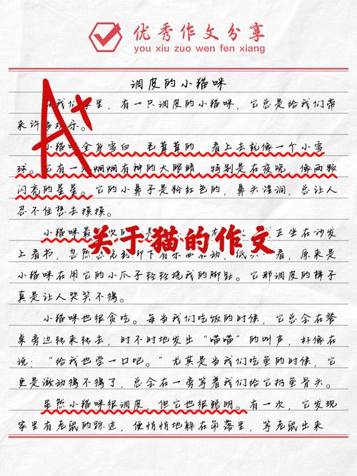 挑战写一篇喵呜体作文！原来这么简单又有趣味！