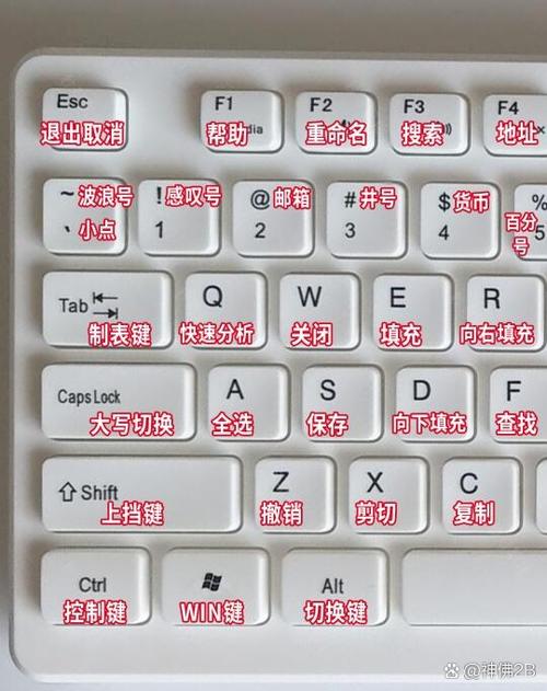 趣键盘在哪里可以下载安装?官方正版渠道分享!