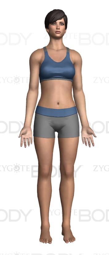 谷歌人体项目现在怎么样了？深度解析它对医学教育的贡献！