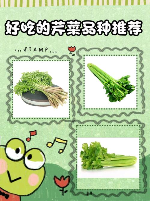 为什么这么多人喜欢芹野莉奈？(揭秘她圈粉的独特魅力)