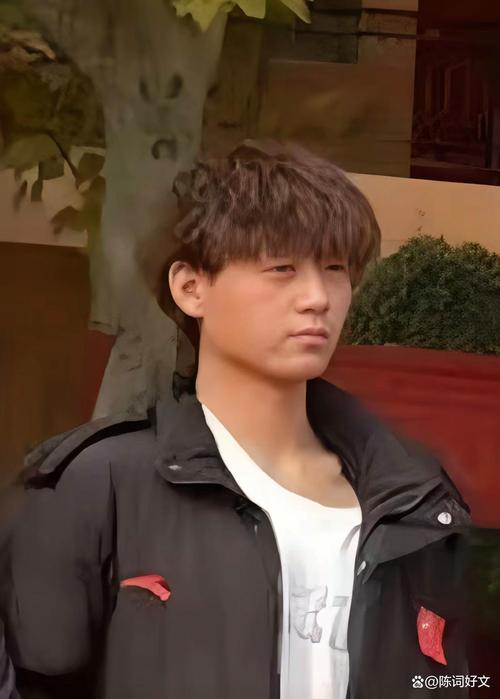 17岁少年买不到回国机票攻击系统真相是什么？黑客手法深度剖析！