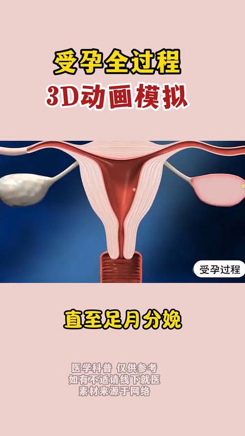 虚拟家庭怎么怀孕?教你解锁生孩子隐藏技巧!