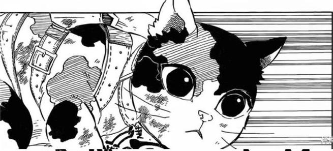 茶茶丸和谁关系最好？揭秘她私下里的闺蜜圈子和互动！