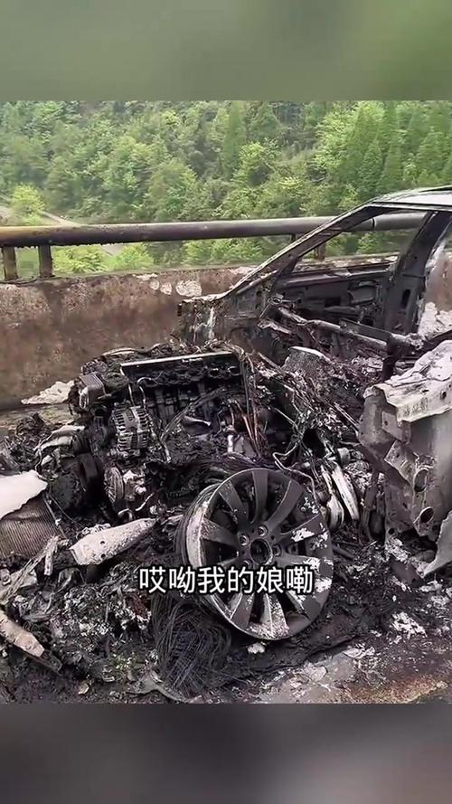 烧毁掷刀车会带来啥后果？看完你就懂了！