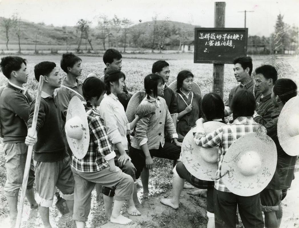 知青下乡真实故事：一个女孩在农村的十年经历回忆录。