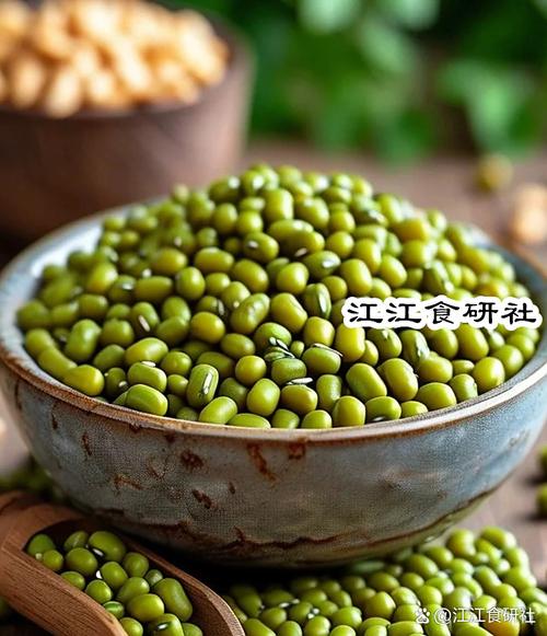 绿豆圈好不好用？真实用户评价告诉你真相！