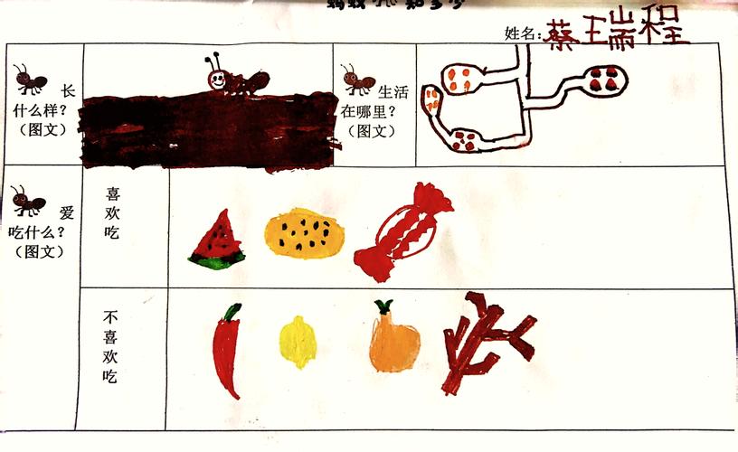 如何在家里观察蚂蚁军团？教你搭建一个迷你蚂蚁王国！