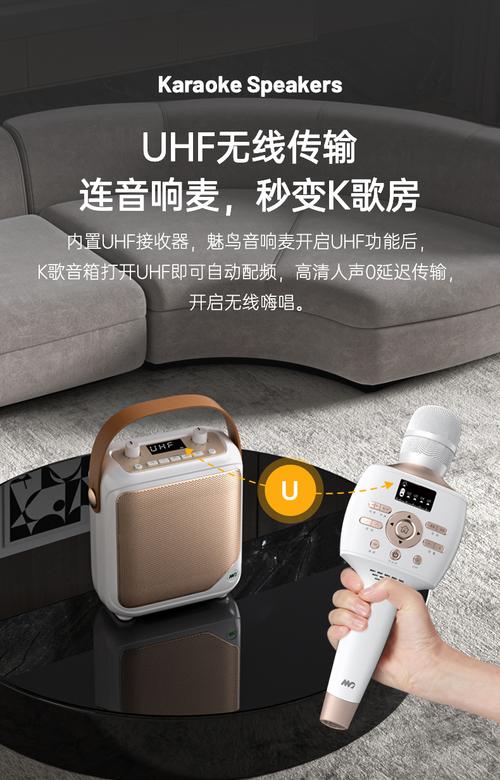 k歌伴侣什么牌子好?专业人士给你推荐这5款高性价比套装。