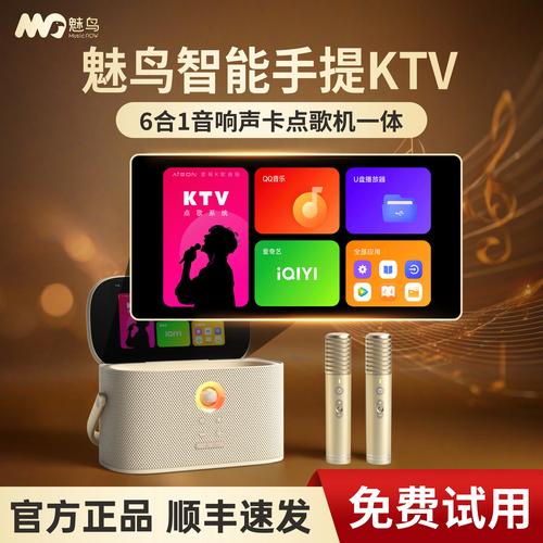 k歌伴侣什么牌子好?专业人士给你推荐这5款高性价比套装。