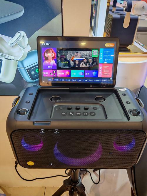 k歌伴侣什么牌子好？专业人士给你推荐这5款高性价比套装。