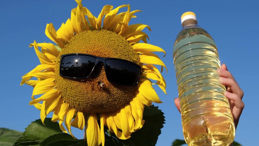 向日葵2到底值不值得看？观众看完的真实评价出炉！