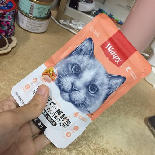 魔力猫哪里可以买到？告诉你最靠谱的购买渠道和挑选方法！