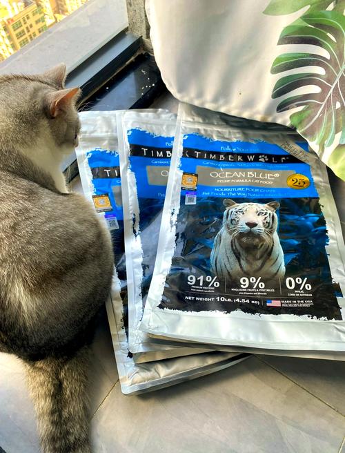 魔力猫哪里可以买到？告诉你最靠谱的购买渠道和挑选方法！