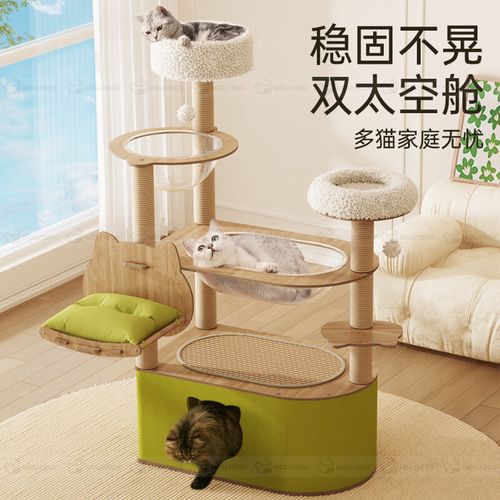 魔力猫哪里可以买到？告诉你最靠谱的购买渠道和挑选方法！