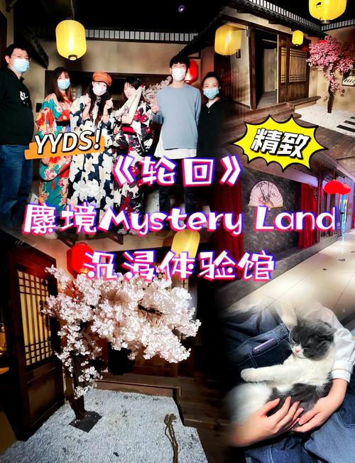 轮回电车最新观看指南，教你如何快速追更不迷路