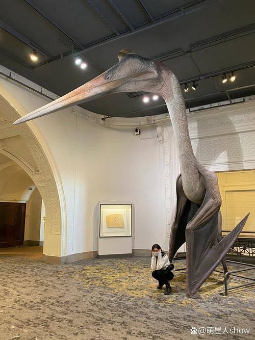 风神翼龙到底有多大？跟波音747一样震撼的史前巨兽！