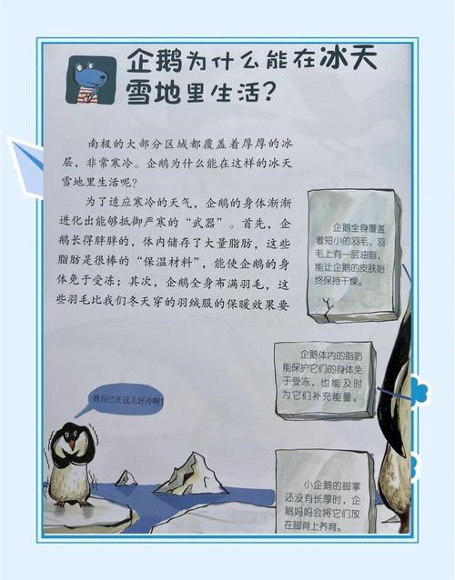 企鹅恒温的科学原理是什么？3个知识点让你快速了解真相！