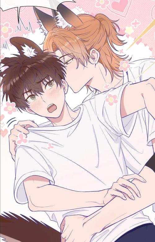 大家都在找的blbl哪个版本好用？行家推荐这三个！