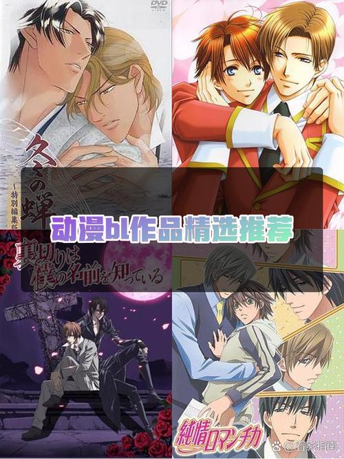 大家都在找的blbl哪个版本好用？行家推荐这三个！