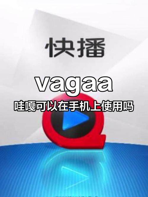 vaaga怎么用？老用户分享实用技巧！
