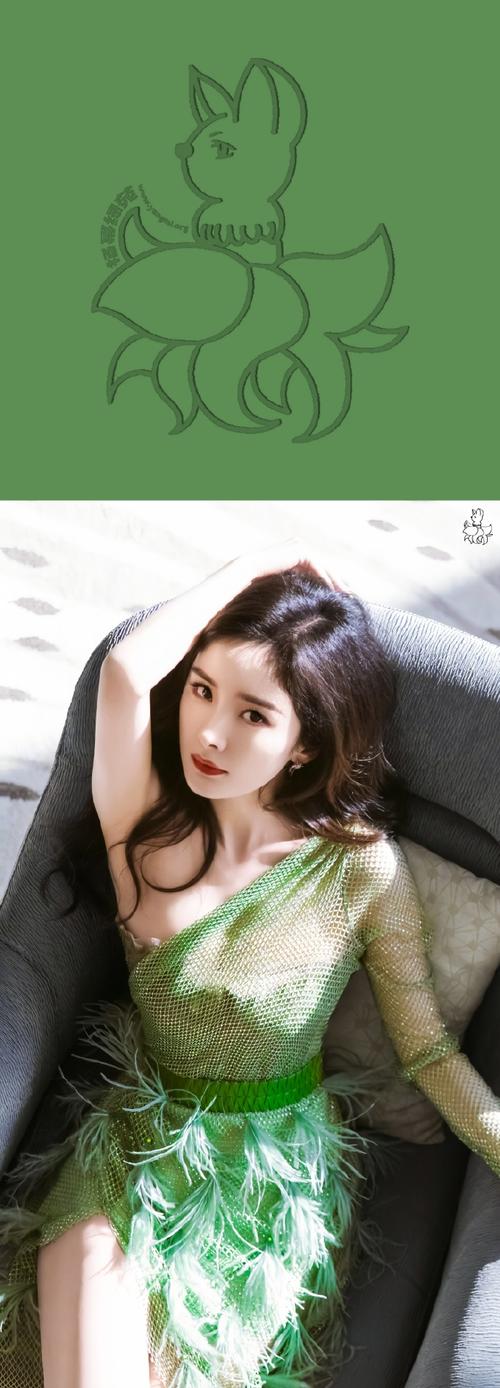 杨幂微信是多少号码？怎么才能加上杨幂微信本人？