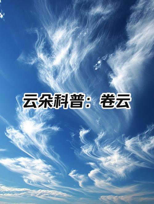 为什么大家都喜欢是云白？看完这三个原因你就懂了！