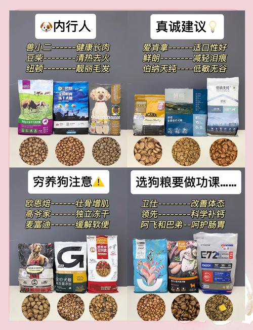 哪里买鲁伯斯狗粮最便宜？教你找到官方授权渠道！