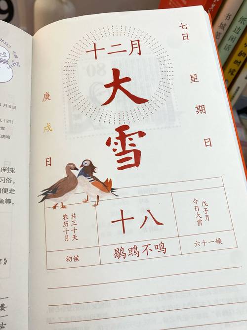 飞雪日历怎么用最方便?5个隐藏功能帮你提高效率!