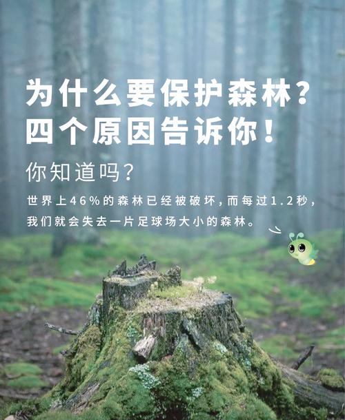 守卫森林到底有多重要？看完这3点你就明白了！
