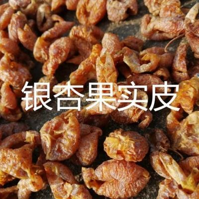如何快速使用银杏网？新手入门操作指南看这里！