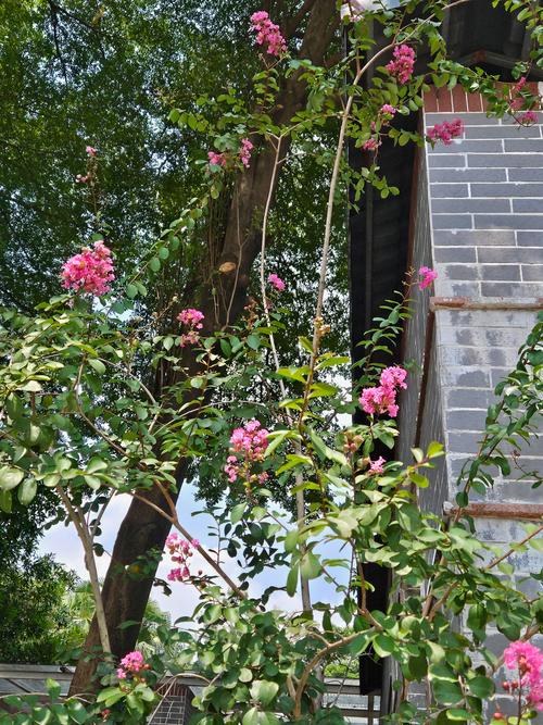 如何快速使用银杏网?新手入门操作指南看这里!