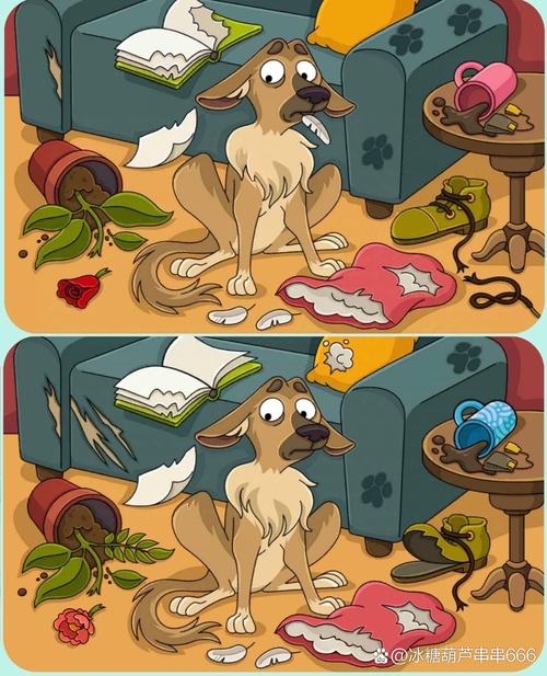 找不同太难了找不出来怎么办？专家分享三个必胜小窍门！