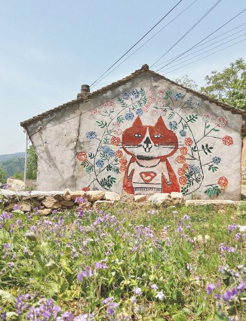 猫猫村真的有吗？探访现实中治愈系猫咪的秘密基地！