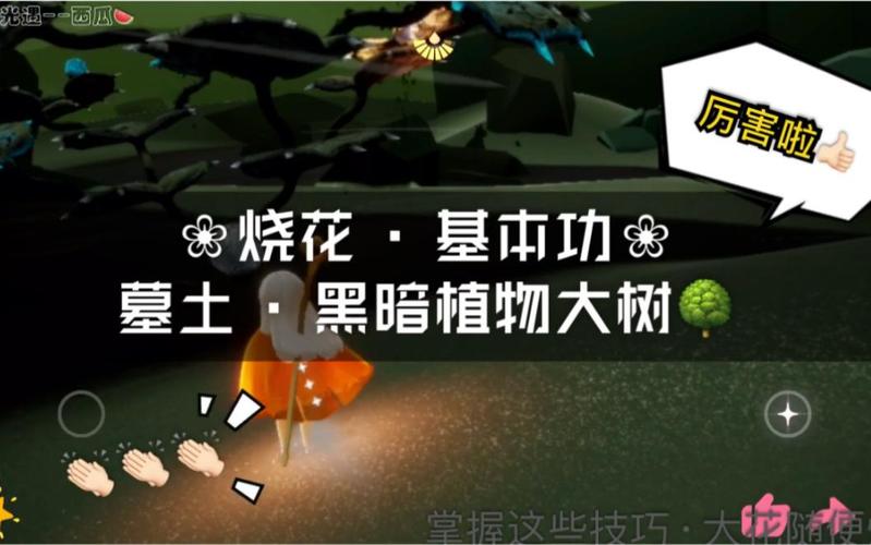 墓土赏花任务怎么做？快速找到每日花朵位置攻略！