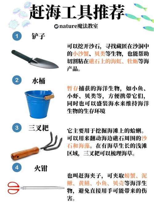 哪里可以合法挖东西？分享几个藏宝经验和绝佳地点！